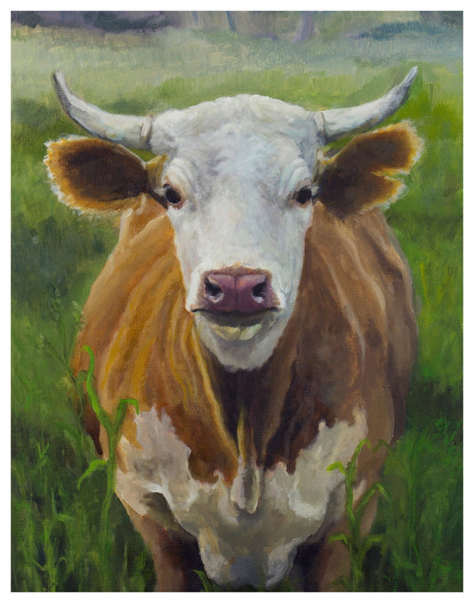Cattle in Field - Marissa Joyner Studio