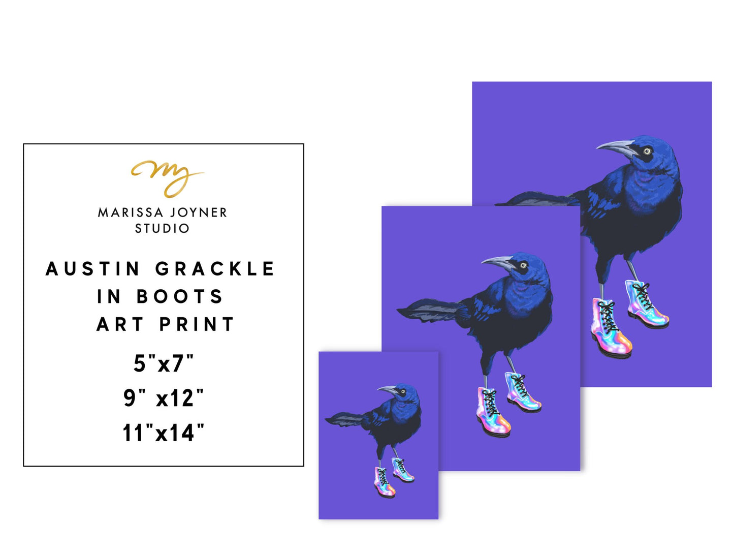Austin Grackle Bird in Boots Art Print - Marissa Joyner Studio