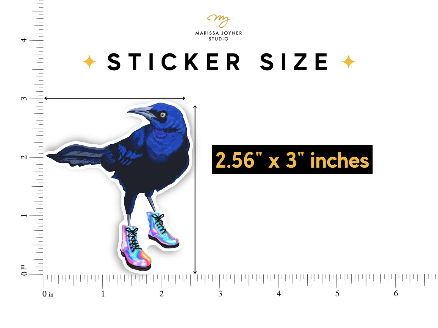 Austin Grackle Sticker - Marissa Joyner Studio