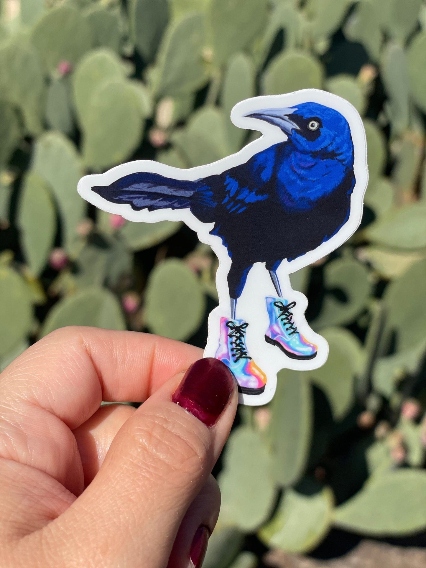 Austin Grackle Sticker | Grackle Bird Vinyl Sticker - Marissa Joyner Studio