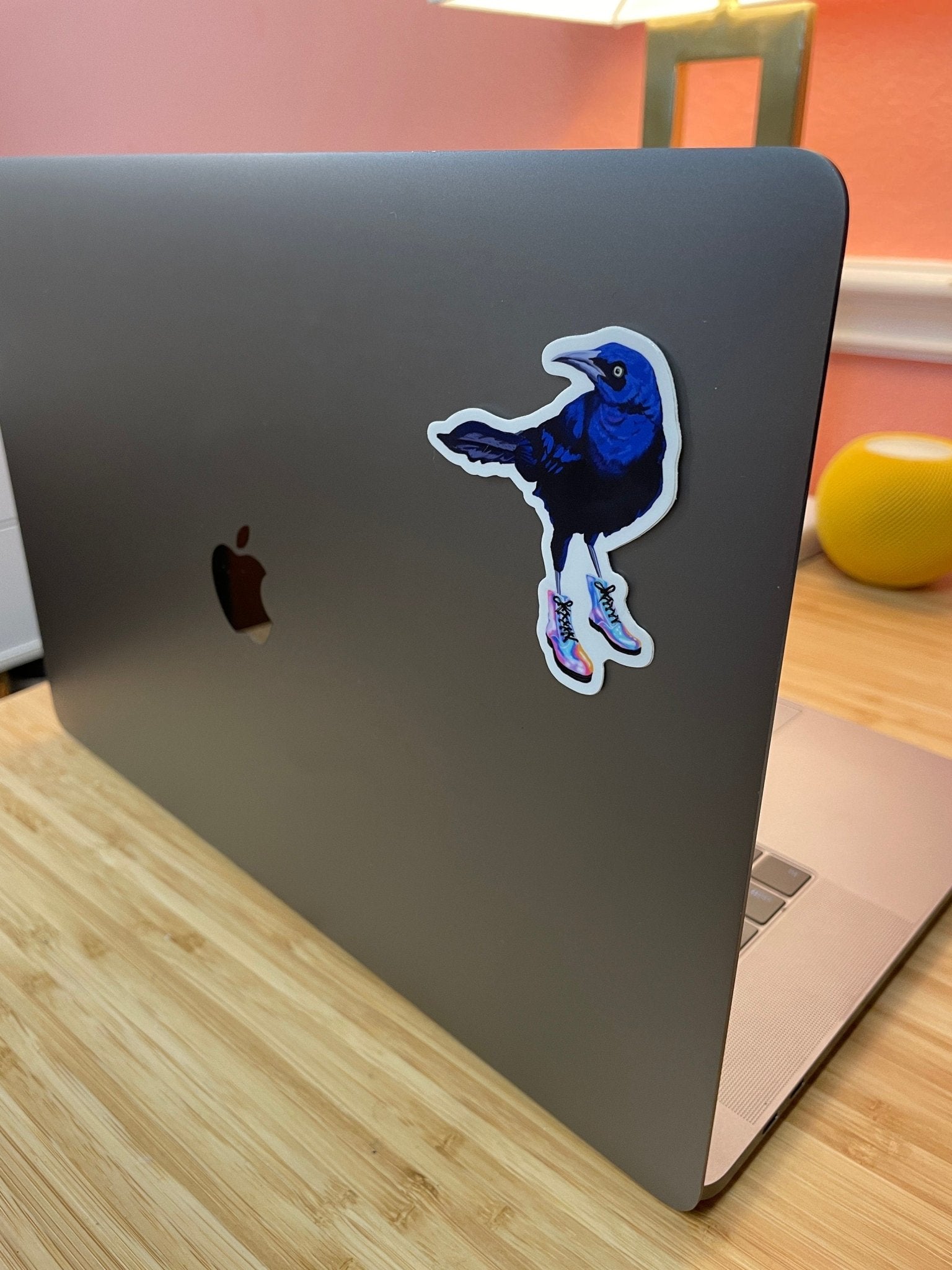 austin-grackle-bird-wearing-boots-sticker-on-laptop