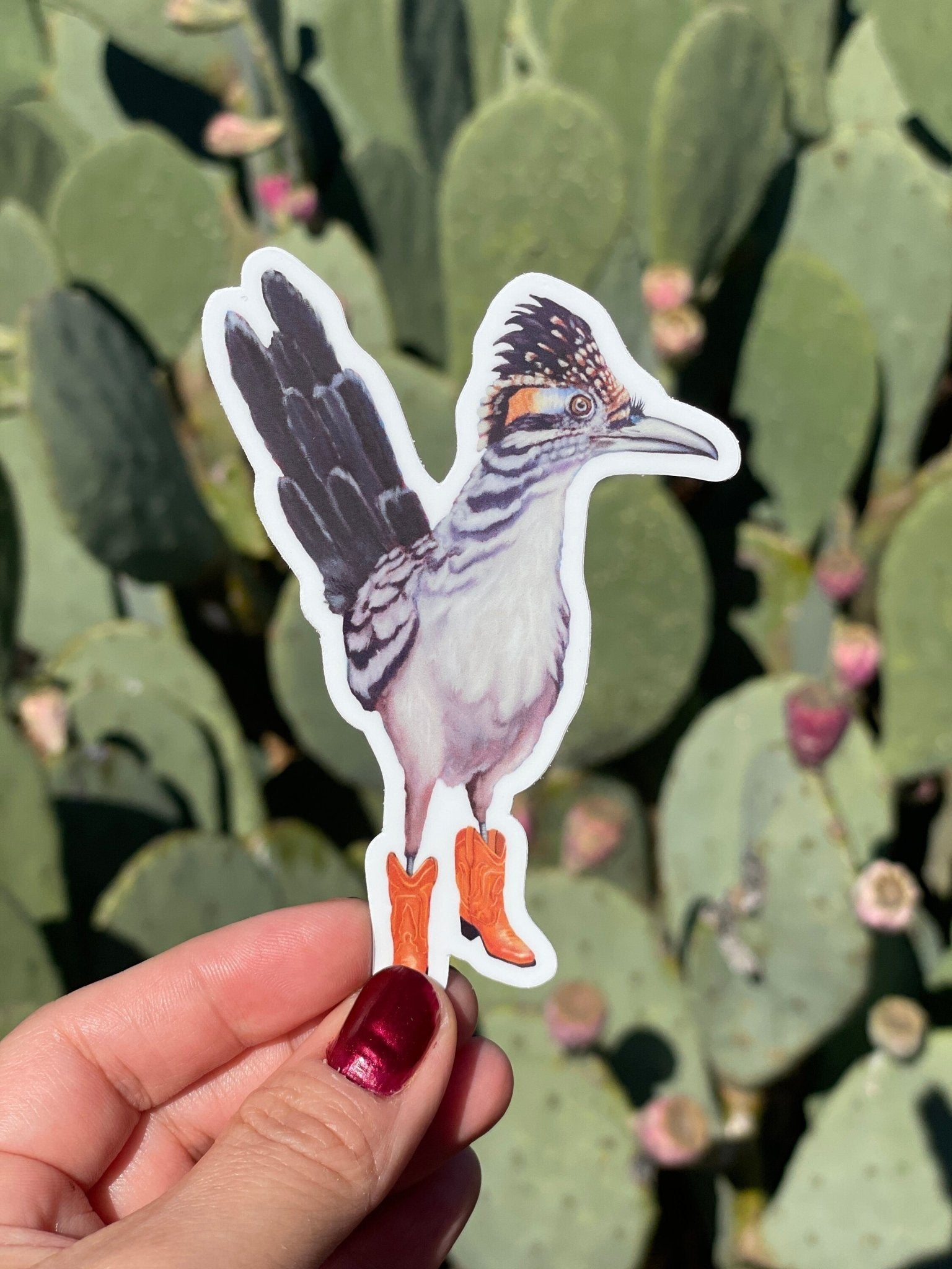 Texas Roadrunner Sticker | Roadrunner Bird wearing Boots Vinyl Sticker - Marissa Joyner Studio