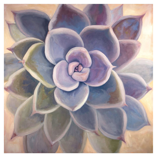 Echeveria Succulent - Marissa Joyner Studio