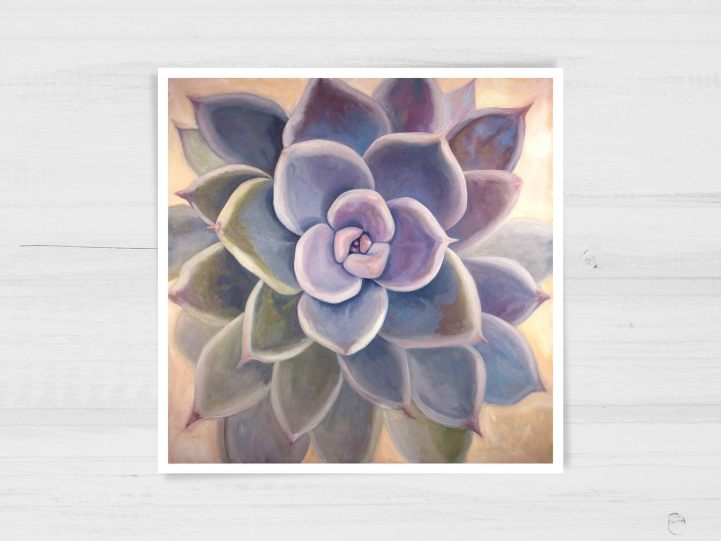 Echeveria Succulent Art Print - Marissa Joyner Studio